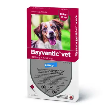 Bayvantic vet til hund 10-25 kg