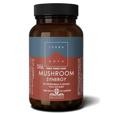 Terranova mushroom synergy