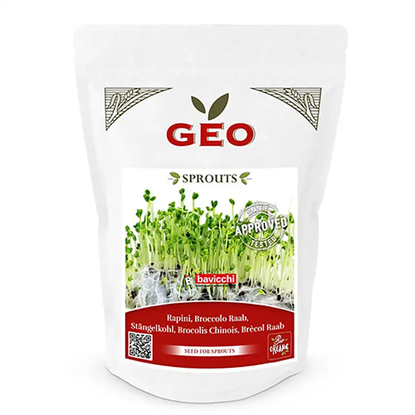 GEO Broccoli Raab Til Spiring Ø 500 g