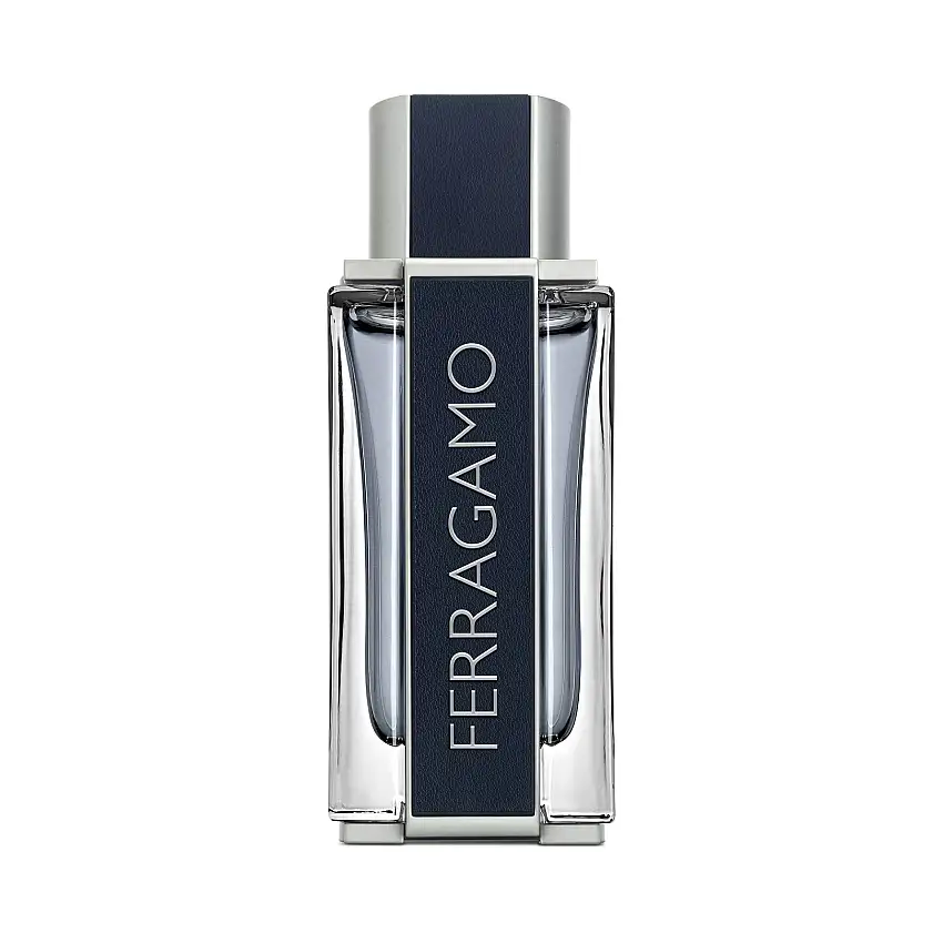 Ferragamo Men Eau de Toilette 100 ml