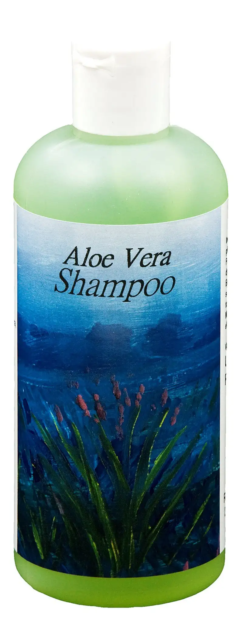 Aloe Vera Shampoo 1 Liter.
