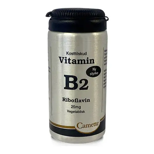 Vitamin B2 | 90 Tabl.