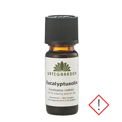 Eucalyptusolie | 10 ml