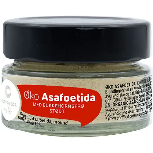 Asafoetida Løgerstatning Økologisk | 30 gr