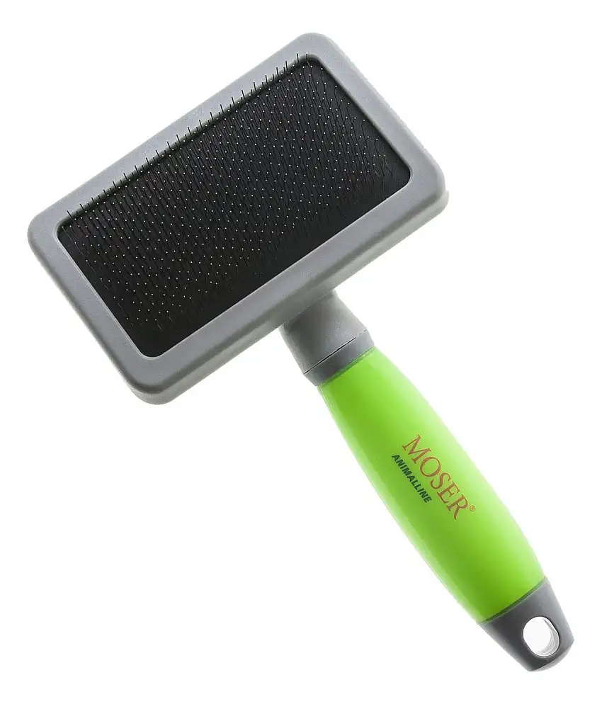 Moser Børste til Hund - Large