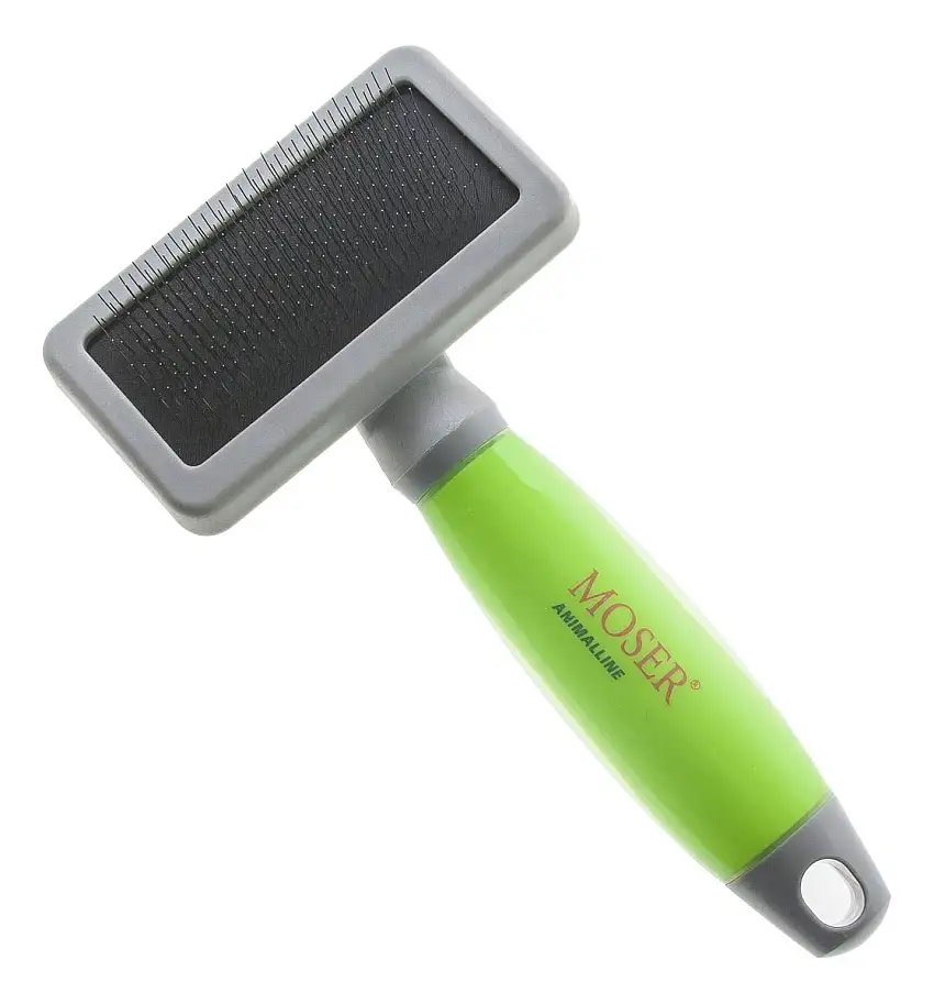 Moser Børste til Hund - Medium