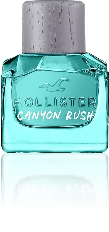 Hollister Canyon Rush For Him 95010684