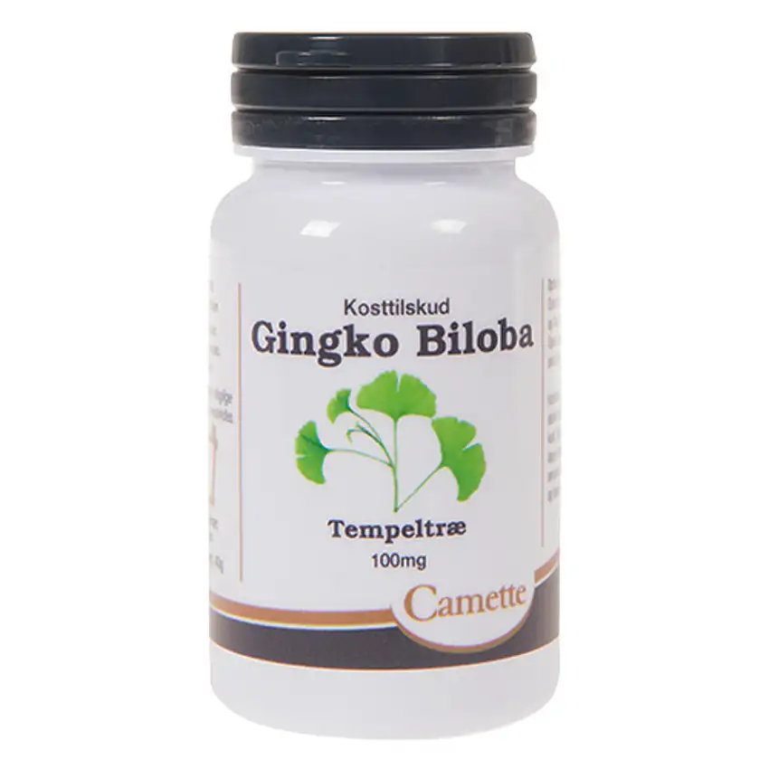 Camette Ginkgo biloba 100 mg 90 tabl.