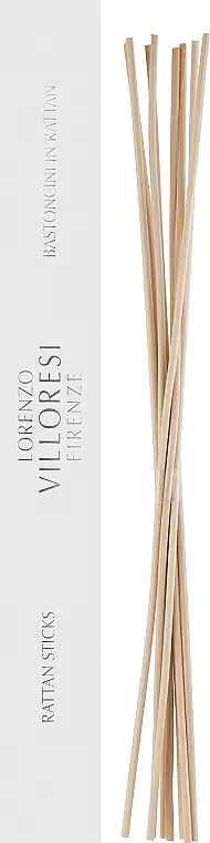 Lorenzo Villoresi 97353729