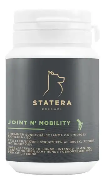 Statera Joint´n Mobility - 100 tabl.